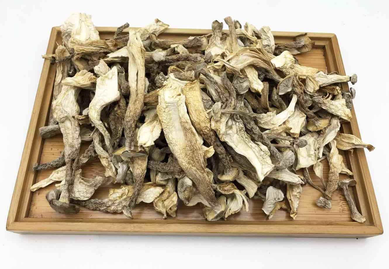 鹿茸菇