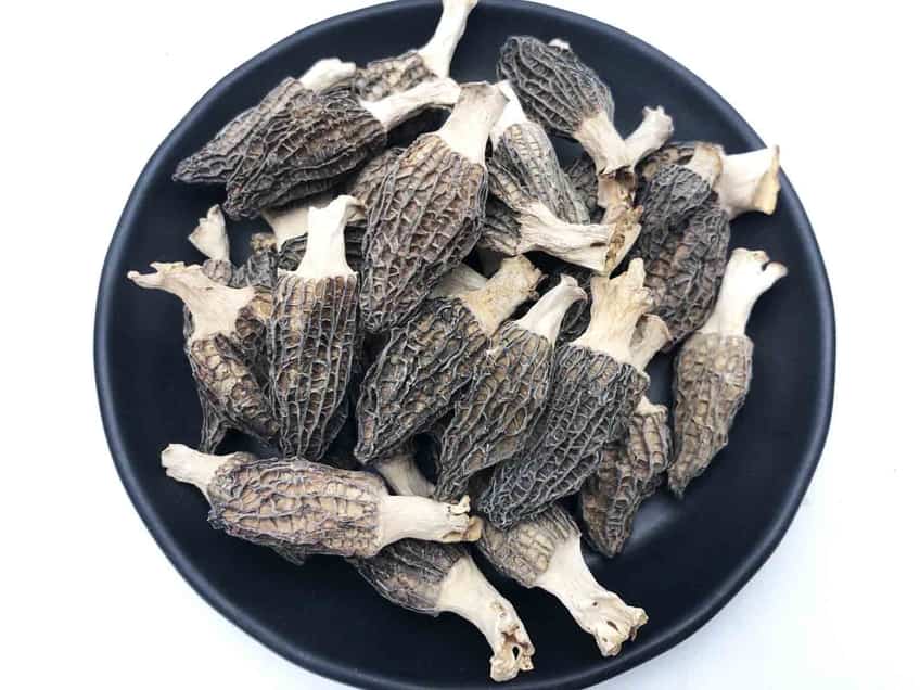 羊肚菌