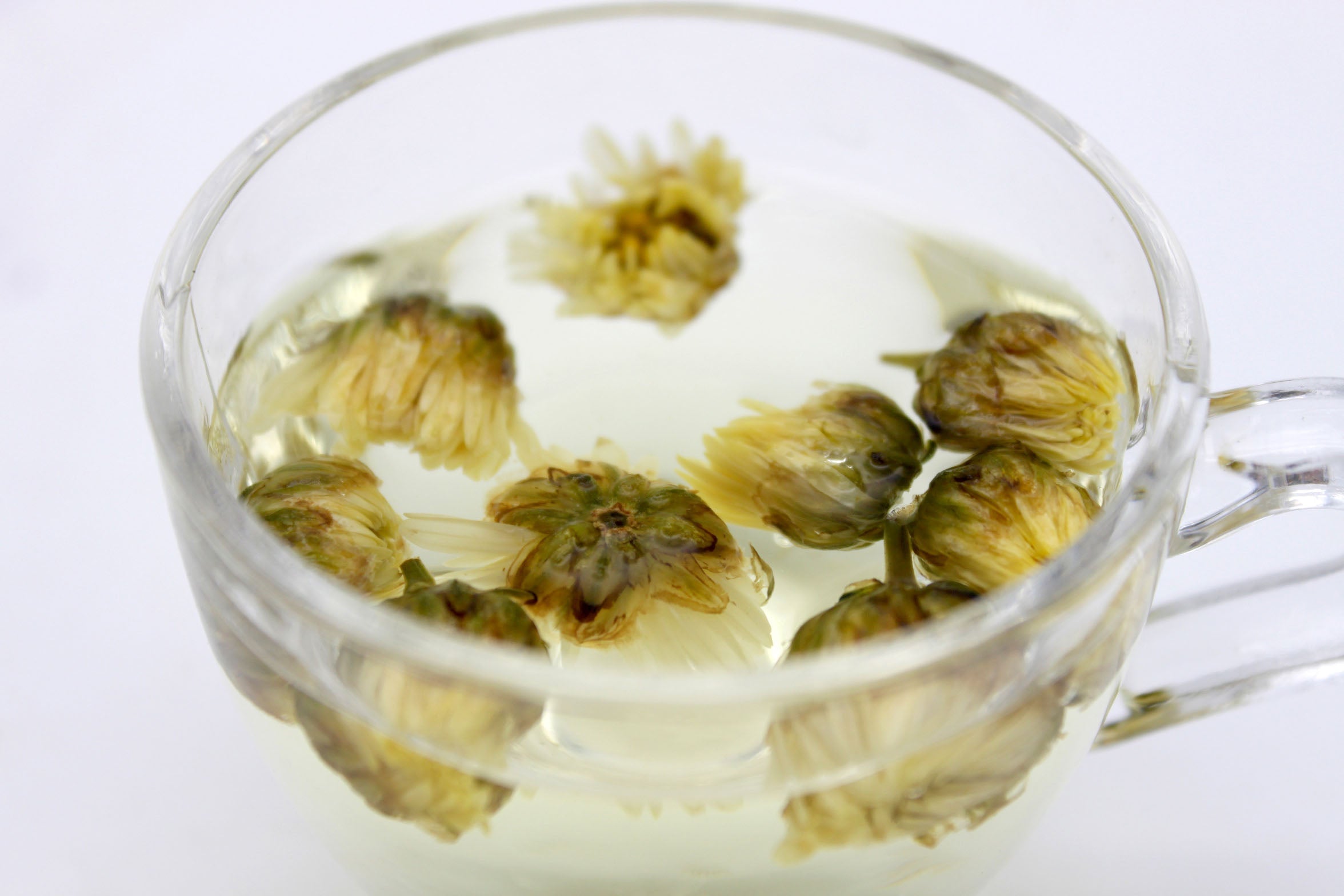 胎菊皇