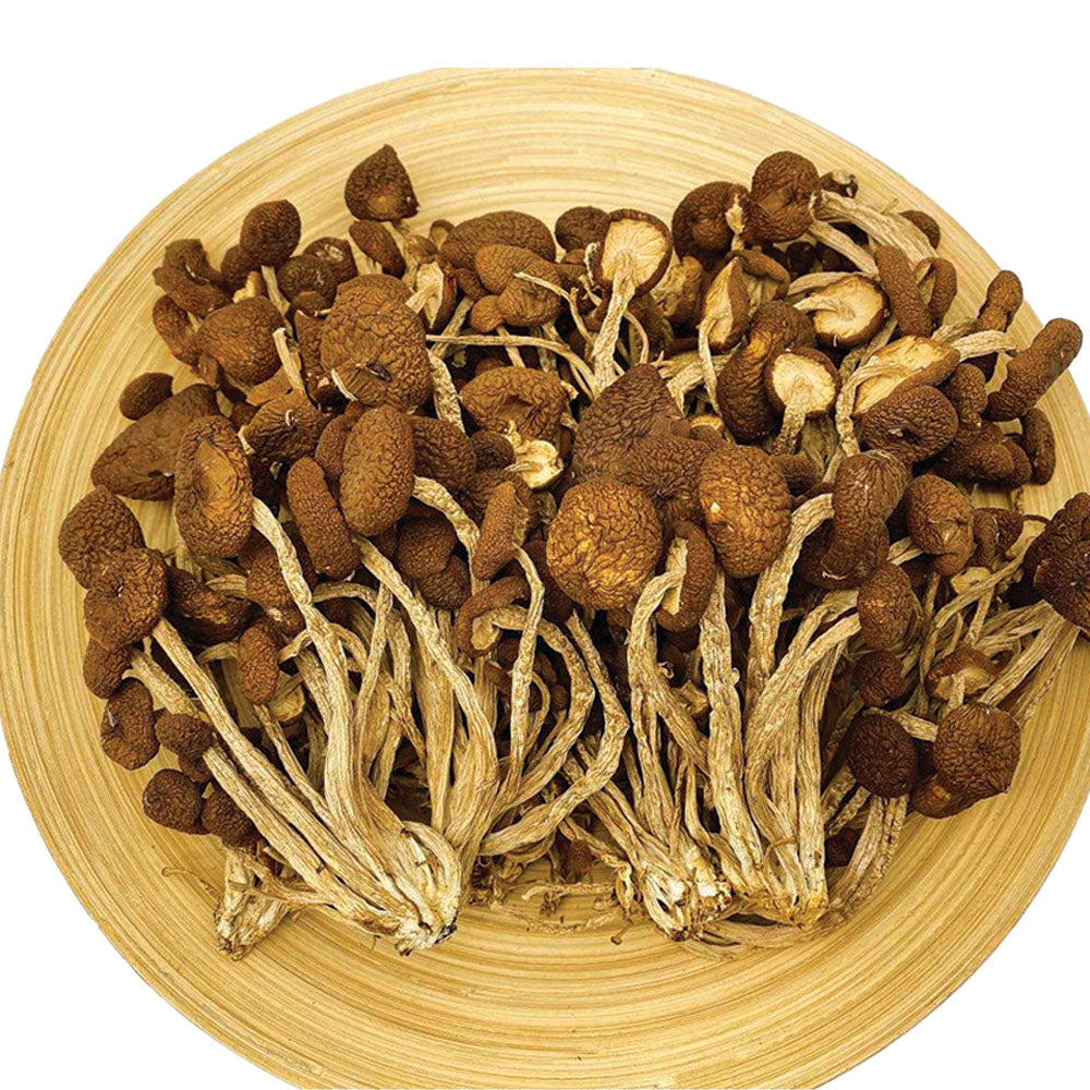【人氣推薦❗限時優惠❗買5包平均$33/包】茶樹菇 (100克) - 尚禮參茸海味乾貨