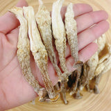 鹿茸菇