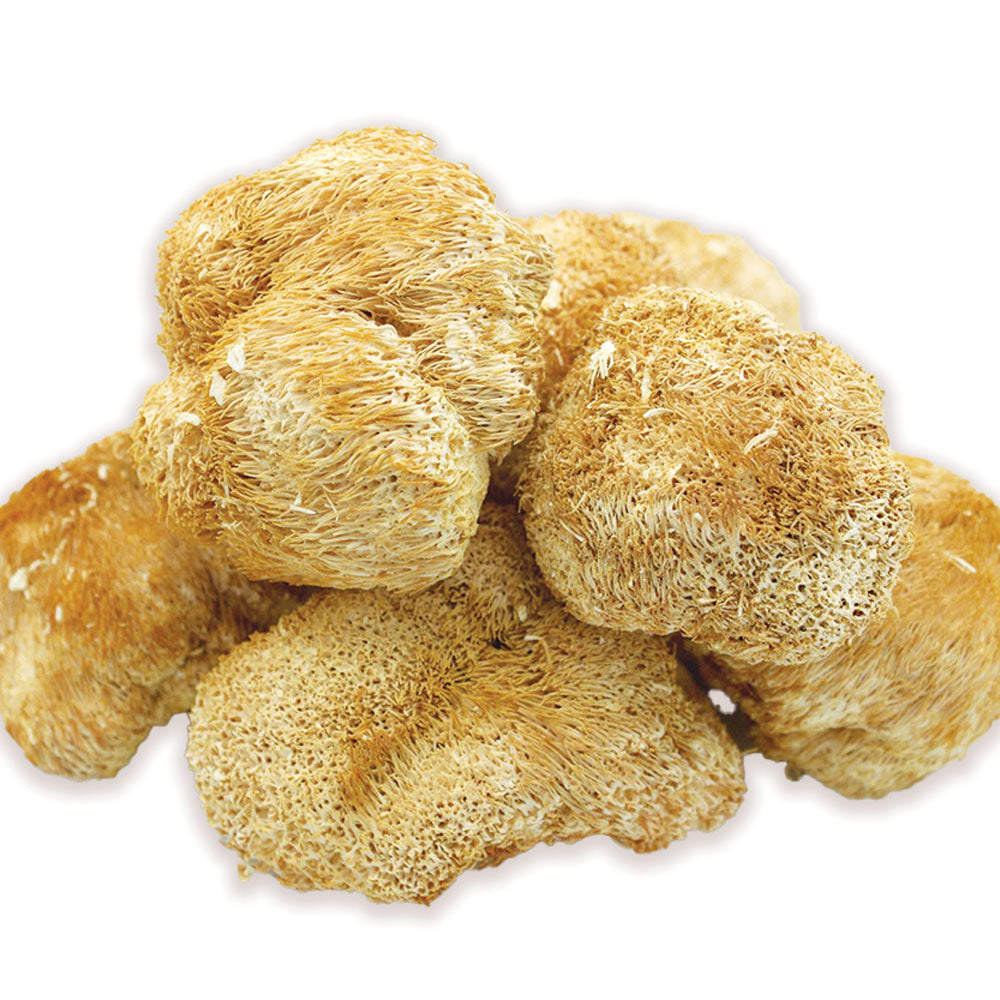【人氣食材推薦｜買5包平均$27/包】猴頭菇 (100克) - 尚禮參茸海味乾貨