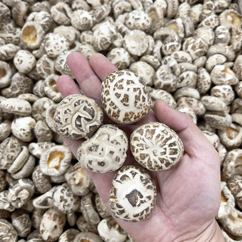 【家庭食材｜限時❗買2包平均$128/包】一級無釘花菇（600克） - 尚禮參茸海味乾貨