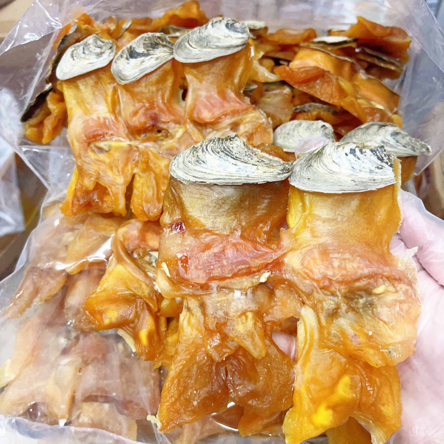 特大厚肉美國有掩螺片 (250克/500克) - 尚禮參茸海味乾貨