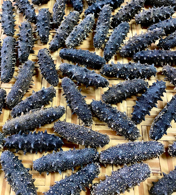 【補腎益精❗人氣推薦❗買5包平均$550/包】特級遼參  (100克)（約10-20條）（泡發9-10倍）