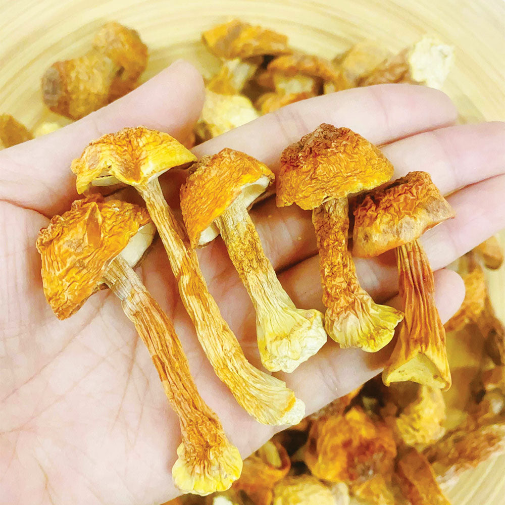 【香噴噴食材推薦❗買5包平均$55/包】特級姬松茸 (150克) - 尚禮參茸海味乾貨