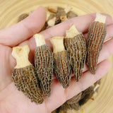 【快閃限時❗買5包平均$49/包】精品羊肚菌 (37.5克) - 尚禮參茸海味乾貨