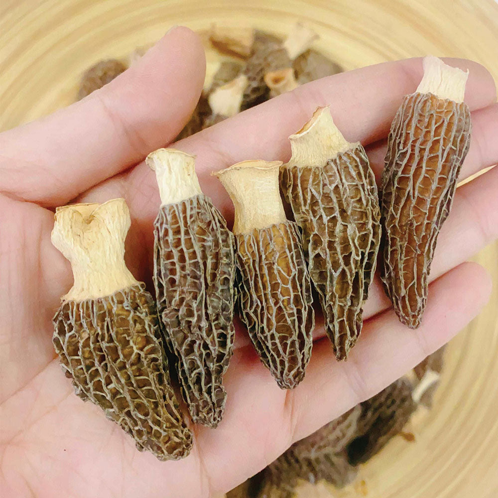 【快閃限時❗買5包平均$49/包】精品羊肚菌 (37.5克) - 尚禮參茸海味乾貨