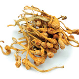 【人氣食材推薦｜買5包平均$39/包】孢子蟲草花 (100克) - 尚禮參茸海味乾貨