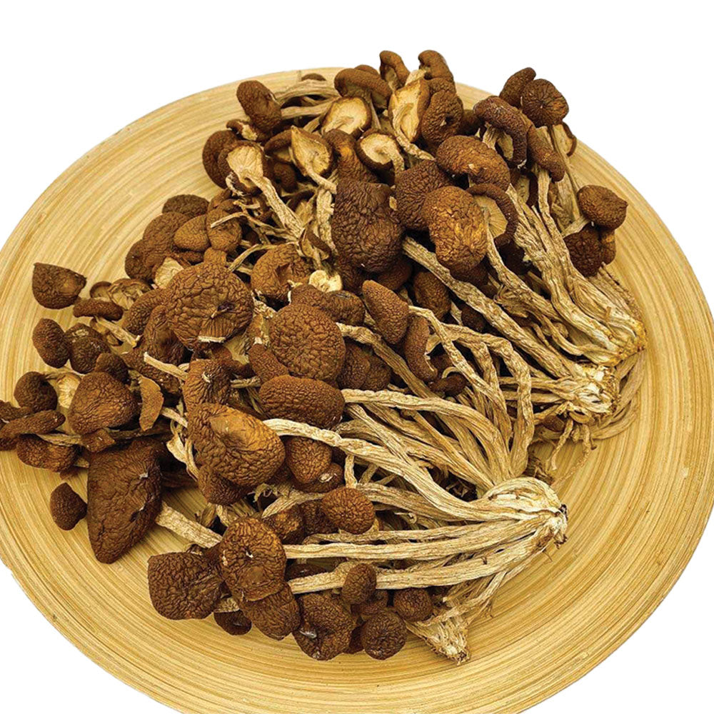 【人氣推薦❗限時優惠❗買5包平均$33/包】茶樹菇 (100克) - 尚禮參茸海味乾貨