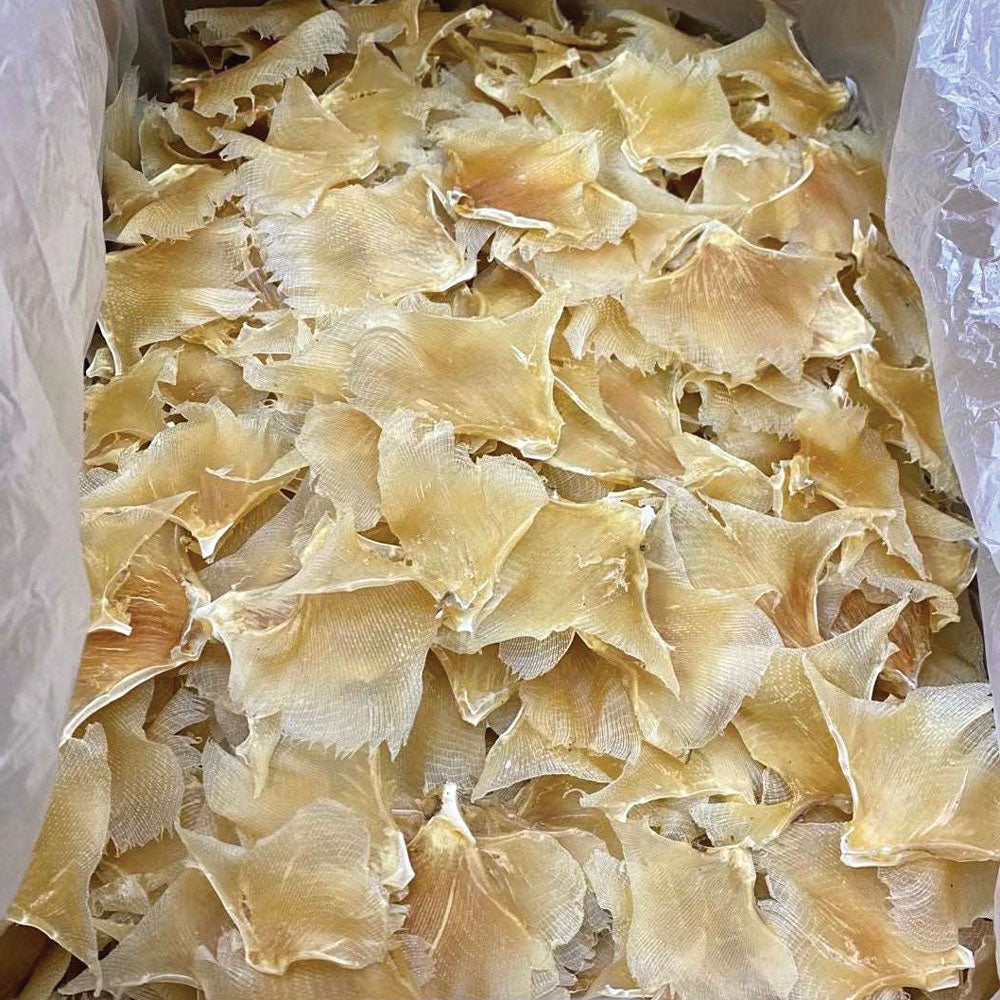 鰩魚翅