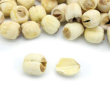 【家庭食材❗人氣推薦❗買5包平均$37/包】特級白蓮子 (120克) - 尚禮參茸海味乾貨