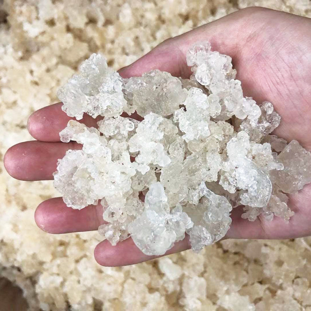 【養生人氣推薦❗買4送一❗平均$52/包】特選拉絲雪燕 (250克) - 尚禮參茸海味乾貨