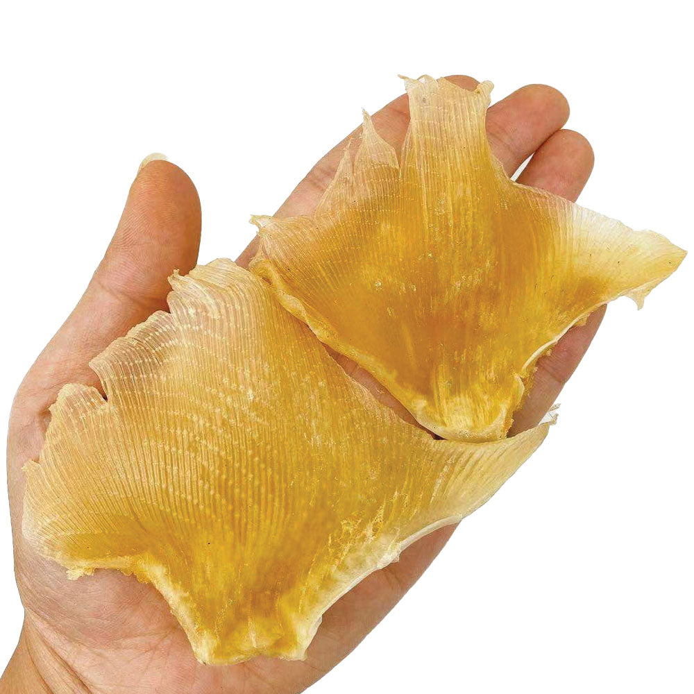 鰩魚翅