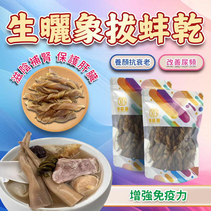 生曬象拔蚌乾 （100克） - 尚禮參茸海味乾貨