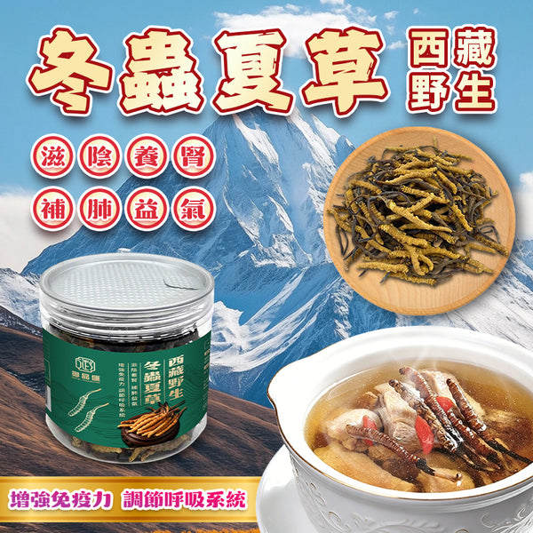 【養生❗免疫之王推薦❗限時優惠❗買5罐平均$2530/罐】西藏野生冬蟲夏草  (20克)