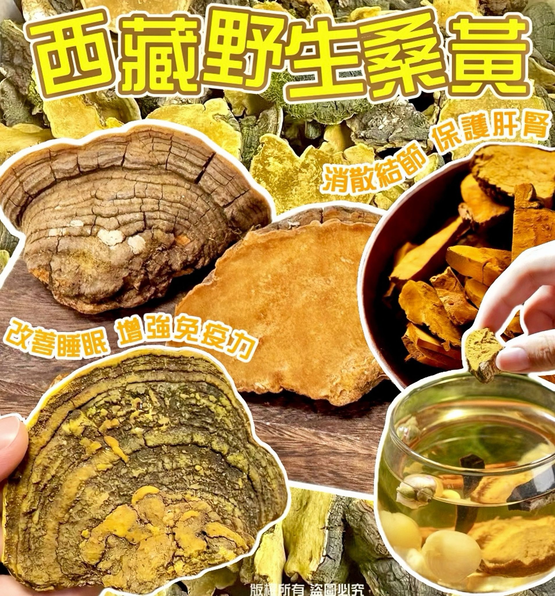 【保健養生人氣推薦❗限時優惠❗買2包平均$55/包】西藏野生桑黃（300克） - 尚禮參茸海味乾貨