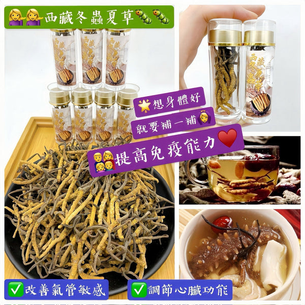 【養生人氣推薦❗買2樽平均$225/樽】西藏冬蟲夏草(一樽10條）