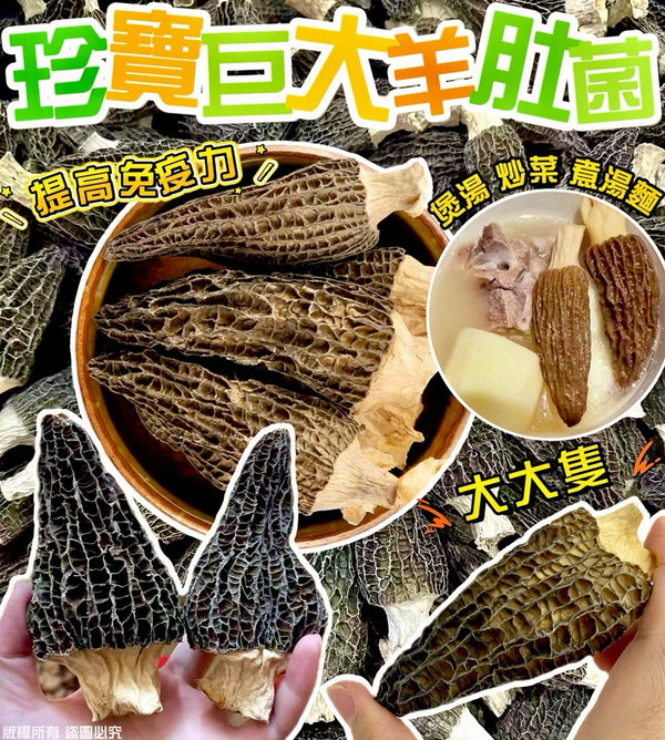 【養生食材推薦❗買5包平均$98/包】珍寶巨大羊肚菌 (37.5克）