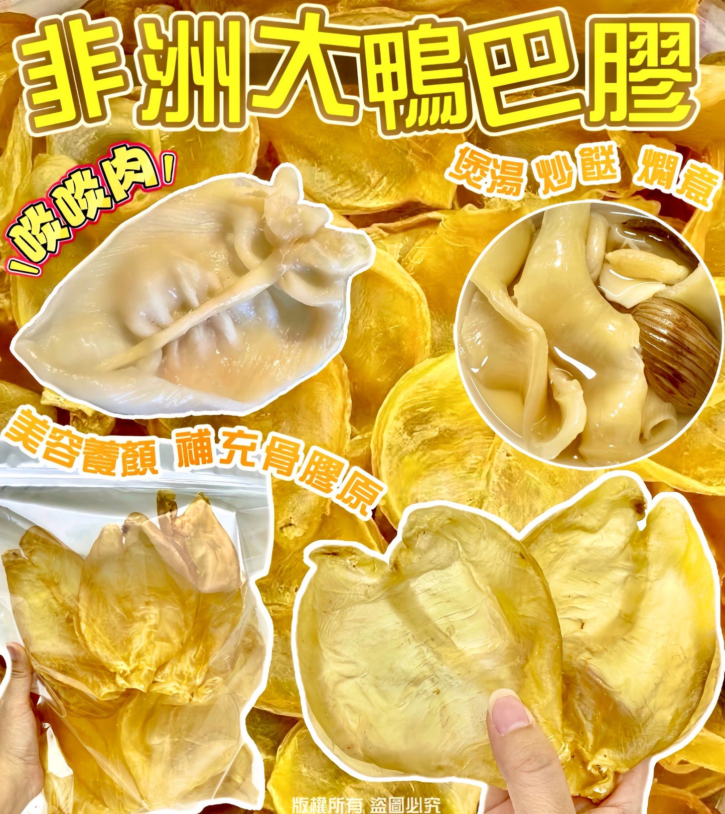 非洲大鴨巴膠 300克 約6-8片 – 滋陰補腎改善皮膚預防骨骼退化高級花膠
African Large Duck Fish Maw 300g (6-8 pcs) – Premium Dried Seafood for Skin & Bone Health