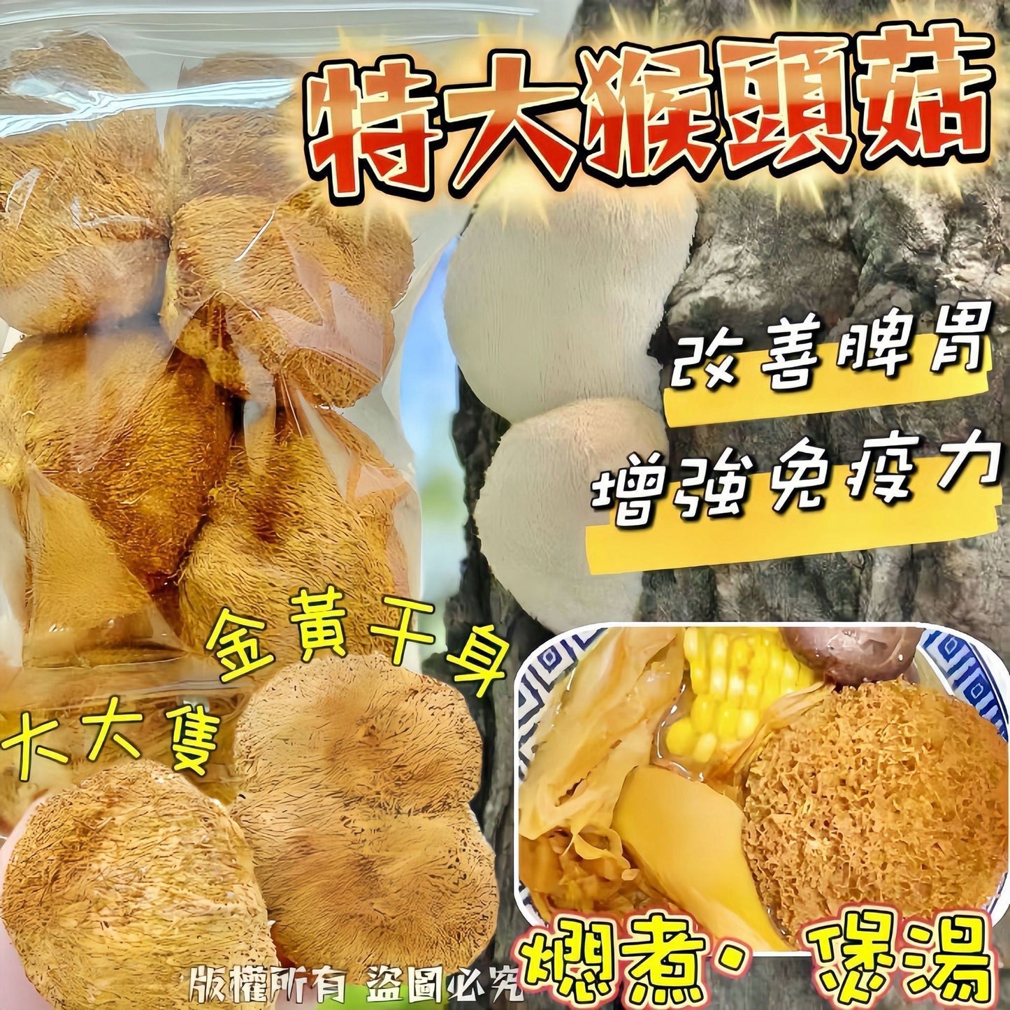 特大猴頭菇 300克 – 健脾養胃滋補食材，燉湯燜炒皆宜
Dried Lion's Mane Mushroom 300g – Nourishing Superfood for Soups & Stir-fries