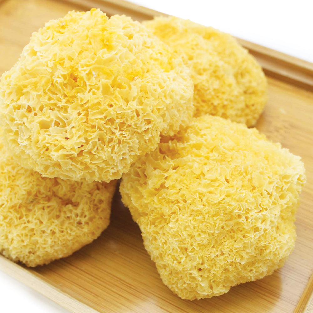 古田雪耳 150克/300克 滋陰潤肺養胃生津豐富維生素D頂級雪耳
Gutian White Fungus Snow Ear 150g 300g Premium Chinese Ingredient for Soup and Dessert