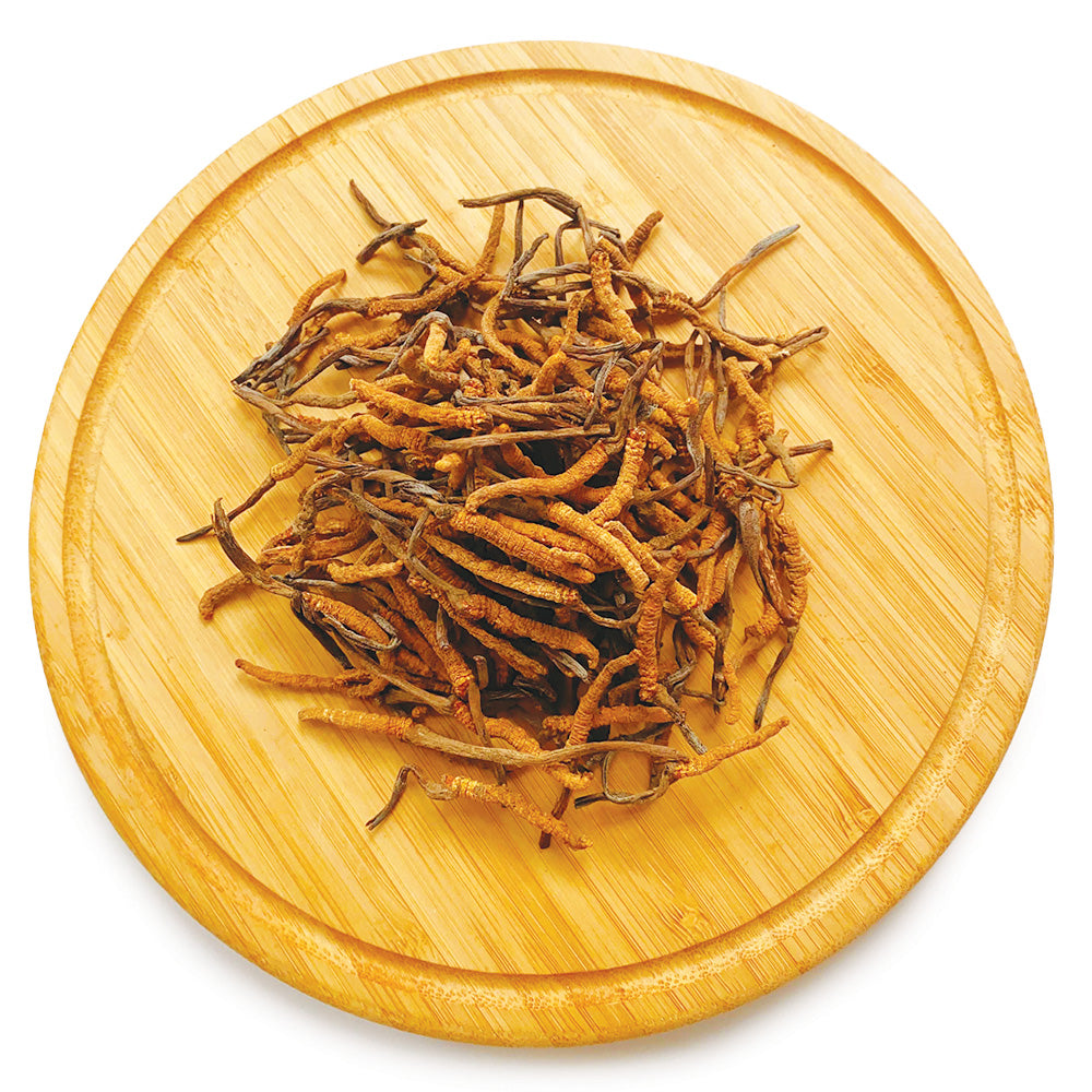 西藏野生冬蟲夏草 自食款 10克/18.5克/37.5克 | 御品匯 Royal Collective
Tibetan Wild Cordyceps Everyday Grade 10g 18.5g 37.5g | Royal Collective