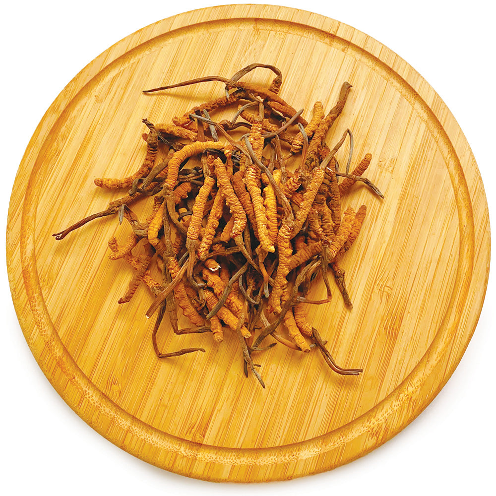 西藏野生貢品冬蟲夏草 皇上皇 10克/18.5克/37.5克 | 御品匯 Royal Collective
Tibetan Wild Imperial Cordyceps Premium Grade 10g 18.5g 37.5g | Royal Collective