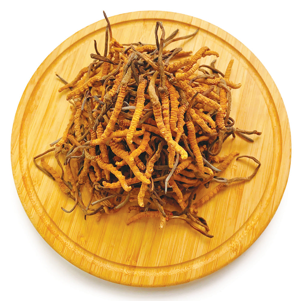 西藏野生珍品冬蟲夏草 特大 10克/18.5克/37.5克 | 御品匯 Royal Collective
Tibetan Wild Premium Cordyceps Jumbo Grade 10g 18.5g 37.5g | Royal Collective