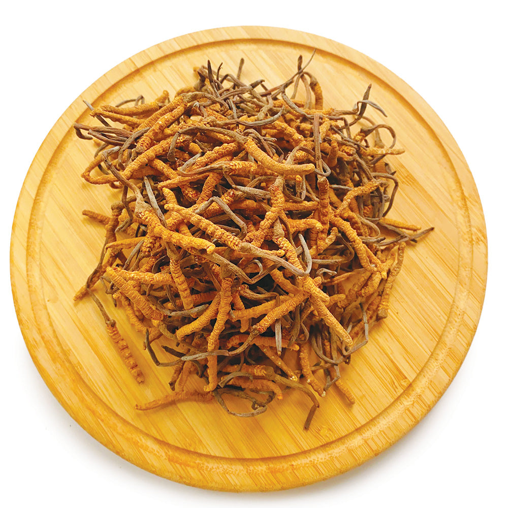 西藏野生優質冬蟲夏草 小 10克/18.5克/37.5克 | 御品匯 Royal Collective
Tibetan Wild Quality Cordyceps Small Grade 10g 18.5g 37.5g | Royal Collective