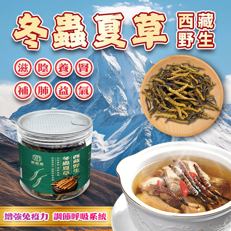 西藏野生冬蟲夏草 20克 約100-130條 - 補腎益精強化免疫抗衰老頂級養生珍品 | 御品匯 Royal Collective
Tibet Wild Cordyceps 20g (100-130 Pieces) – Kidney Tonic, Immune Boost & Anti-Aging Premium Herb | Royal Collective